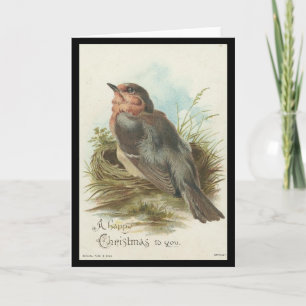 Vintage Robin, Weihnachten