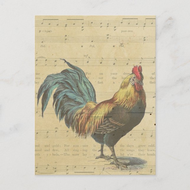 Vintage Rooster-Blatt-Musiknote Rustikales Land Postkarte (Vorderseite)
