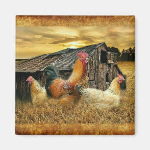 Vintage Rooster-Hühner Rustikaler Barcoop Magnet