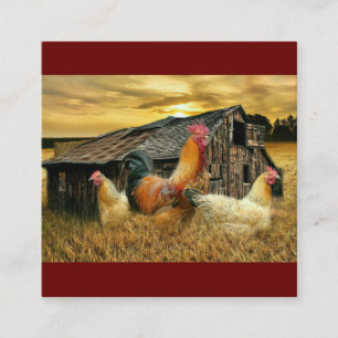 Vintage Rooster-Hühner Rustikaler Barcoop Quadratische Visitenkarte