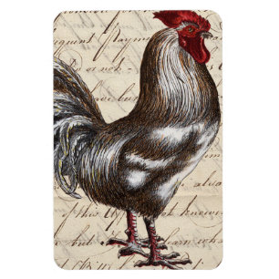Vintage Rooster Magnet