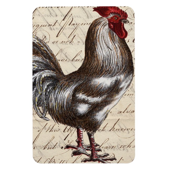 Vintage Rooster Magnet (Vertikal)