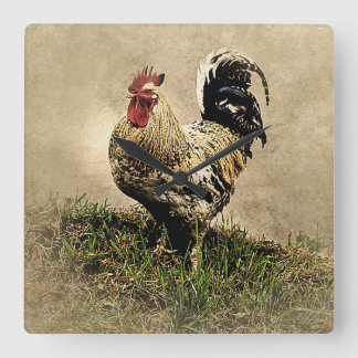 Vintage Rooster Quadratische Wanduhr