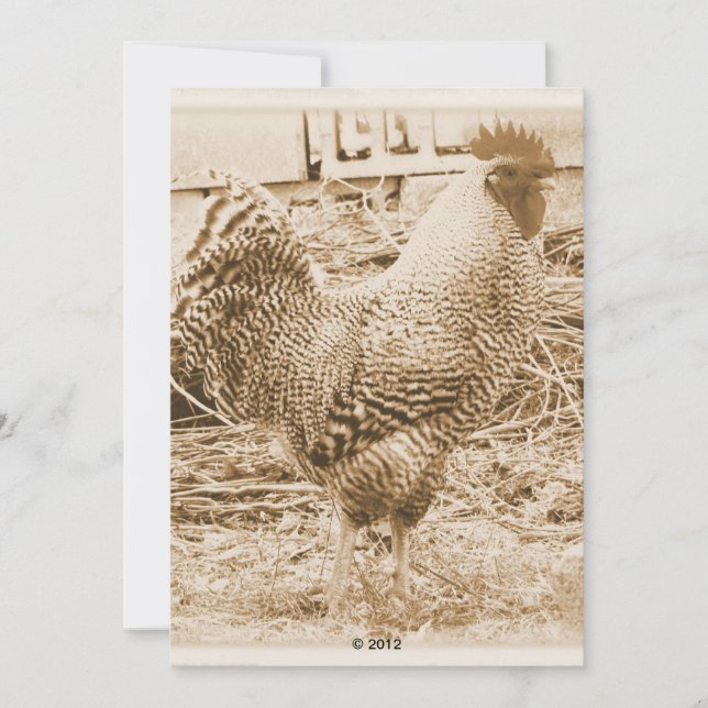 Vintage Roosterfotografie Einladung (Vorderseite)