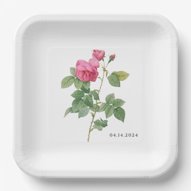 Vintage-Rosa-Botanik-Blume Pappteller (Vorderseite)
