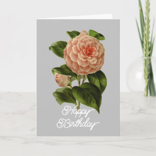 Vintage Rosa Kamelie Albino Botti Geburtstag Karte