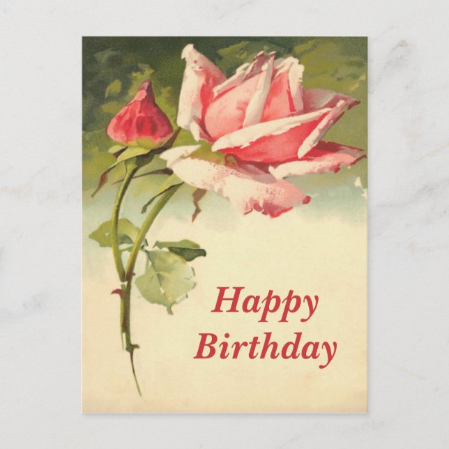 Vintage Rosa Postkarte (Vorderseite)