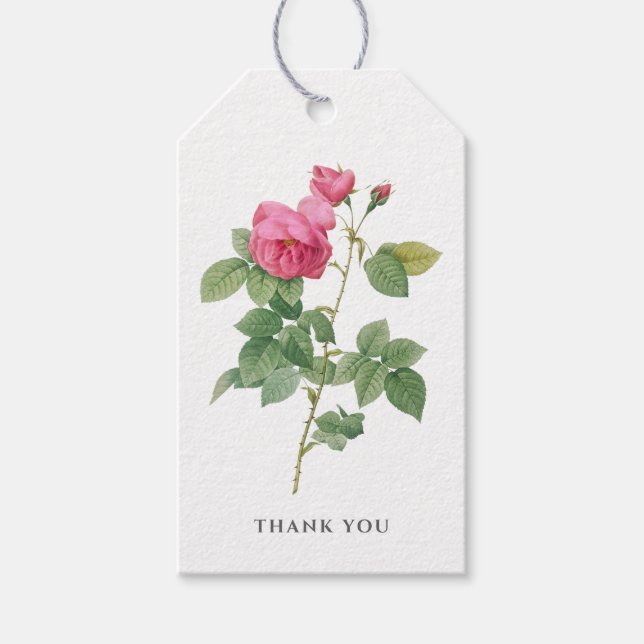 Vintage Rosa Rose Vielen Dank Geschenkanhänger (Vorderseite)