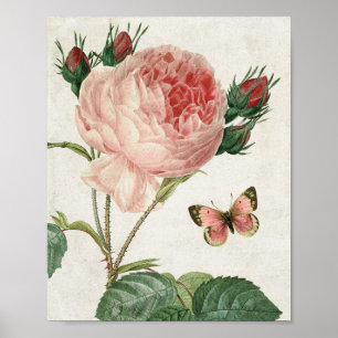 Vintage Rosa und Schmetterling Poster