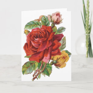 Vintage Rose Alltagskarte Feiertagskarte