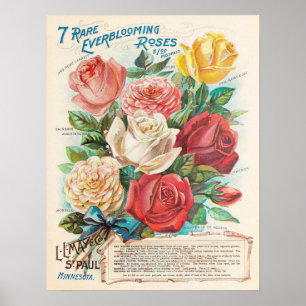 Vintage Rose Farbenfroh Ephemera Poster