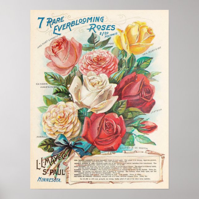Vintage Rose Farbenfroh Ephemera Poster (Vorne)