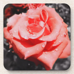 Vintage Rose Getränkeuntersetzer