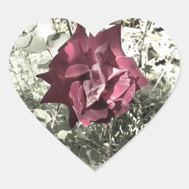 Vintage Rose Herz-Aufkleber (Vorderseite)