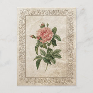 VINTAGE ROSE I POSTKARTE