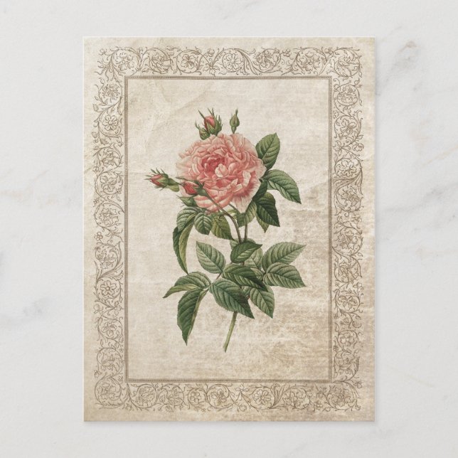 VINTAGE ROSE I POSTKARTE (Vorderseite)