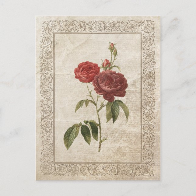 VINTAGE ROSE II POSTKARTE (Vorderseite)