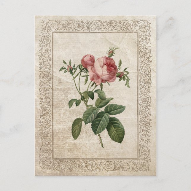 VINTAGE ROSE III POSTKARTE (Vorderseite)