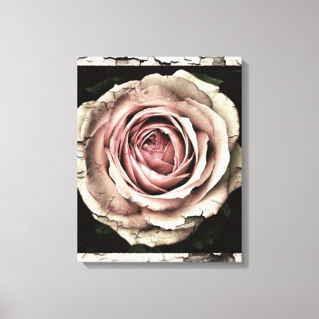 Vintage Rose Leinwanddruck (Vorderseite)