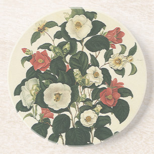 Vintage Rose mit Blumen, antiken Garten Blume Untersetzer