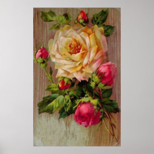 Vintage Rose Poster