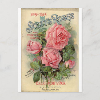 Vintage Rose Postkarte