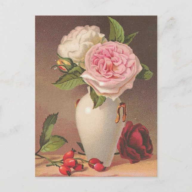 Vintage Rose Postkarte (Vorderseite)