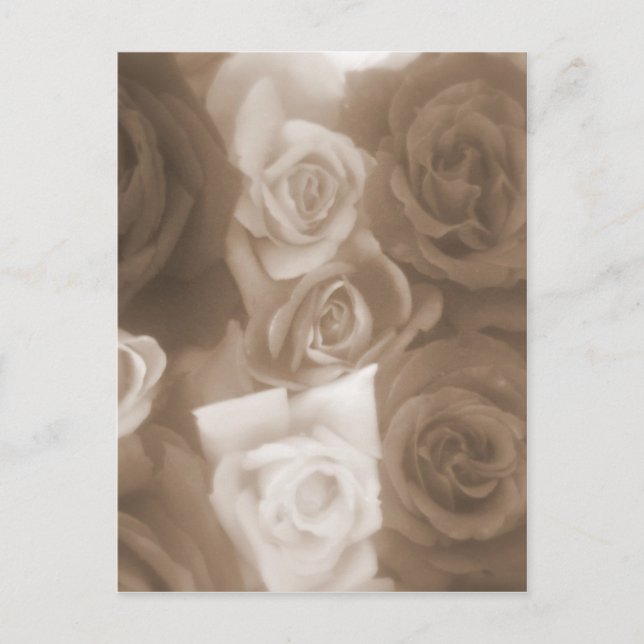 Vintage Rose Postkarte (Vorderseite)