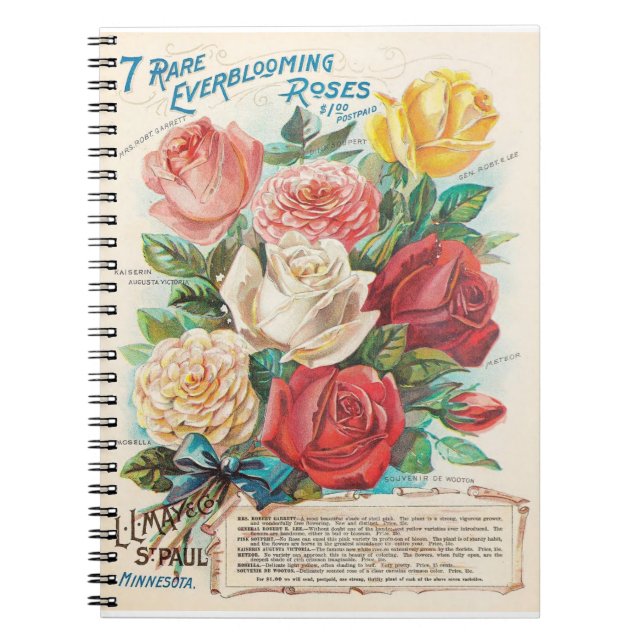 Vintage Rose Retro-Werbung Notizblock (Vorderseite)