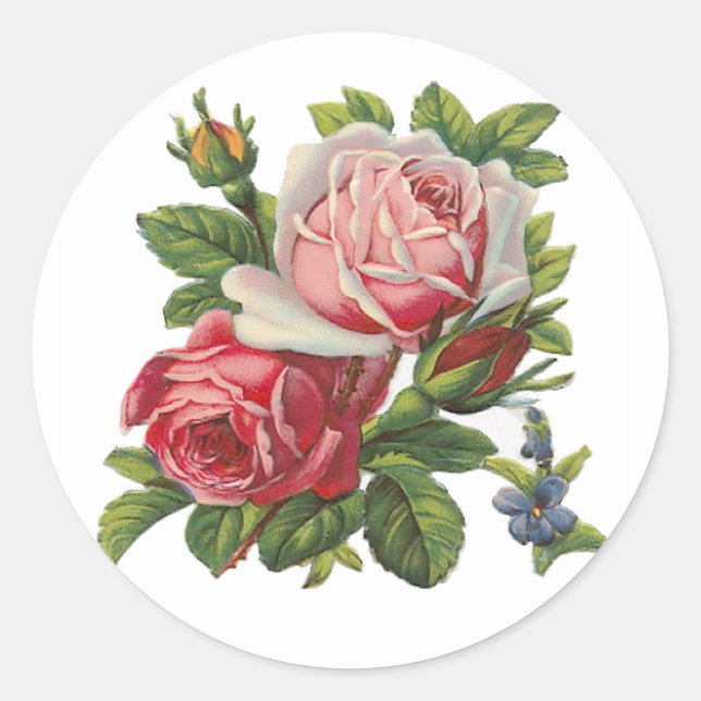 VINTAGE ROSE RUNDER AUFKLEBER (Vorderseite)