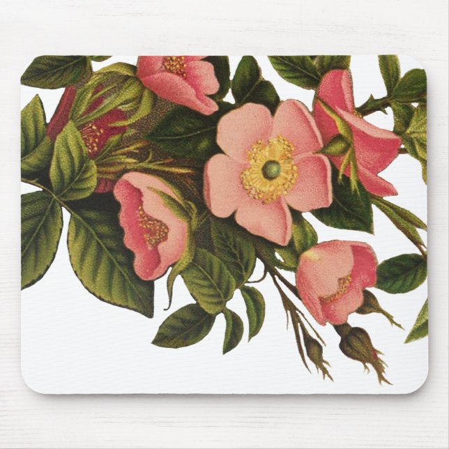 Vintage Rose Schöne rosa botanische Mousepad (Vorne)