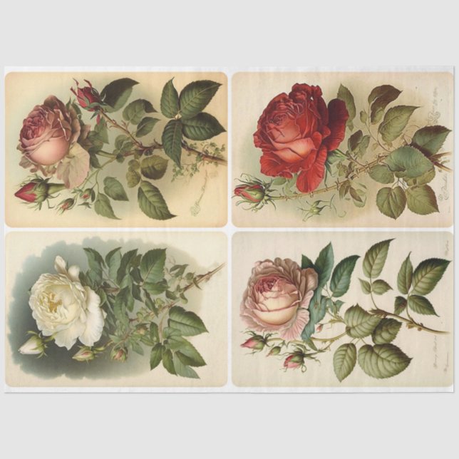Vintage Rose Seidenpapier (Vorderseite)