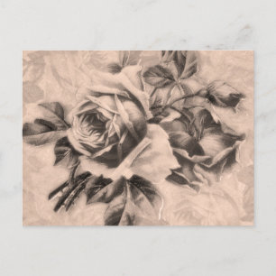 Vintage Rose Sepia Postkarte