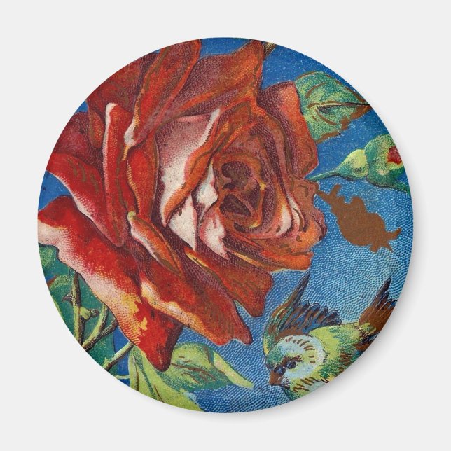 Vintage Rose und Vogel Magnet (Vorne)