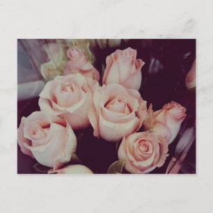 Vintage Rosen IV Postkarte