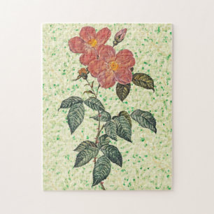 Vintage-Rosen-Kunstpuzzle