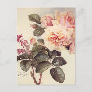 Vintage-Rosen-Postkarte Postkarte