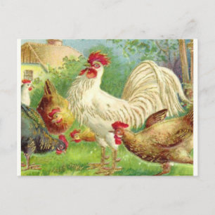 Vintage Roster und Hühner Postkarte