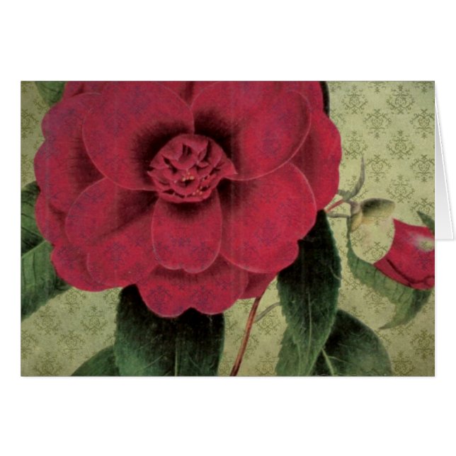 Vintage Rote Blume (Vorderseite (Horizontal))