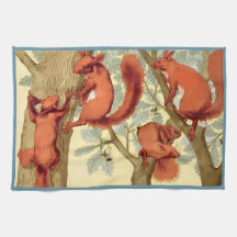 Vintage rote Eichhörnchen Natur Herbst Verneuil Ku