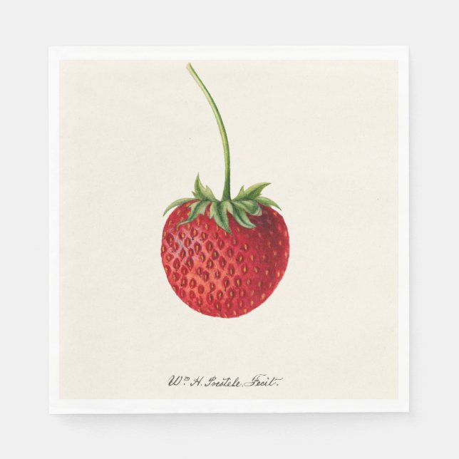 Vintage Rote Erdbeere-Illustration Serviette (Vorderseite)