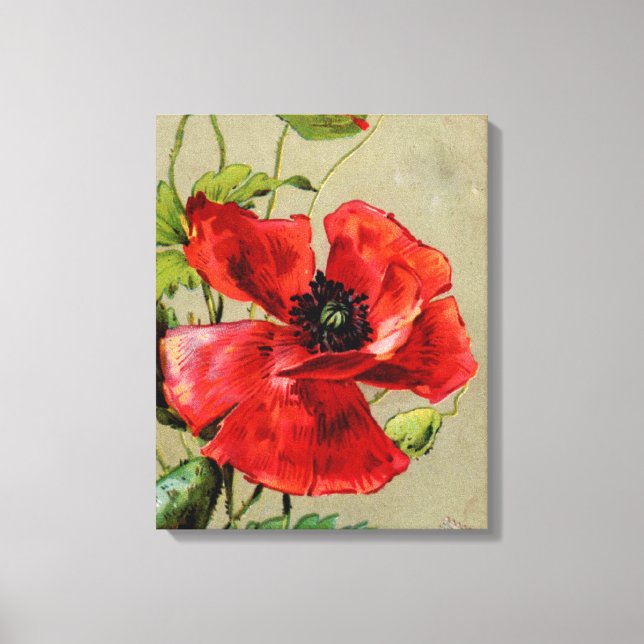 Vintage rote Mohnblüte Leinwanddruck (Vorderseite)