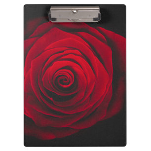 Vintage rote Rose auf schwarzem Hintergrund Klemmbrett