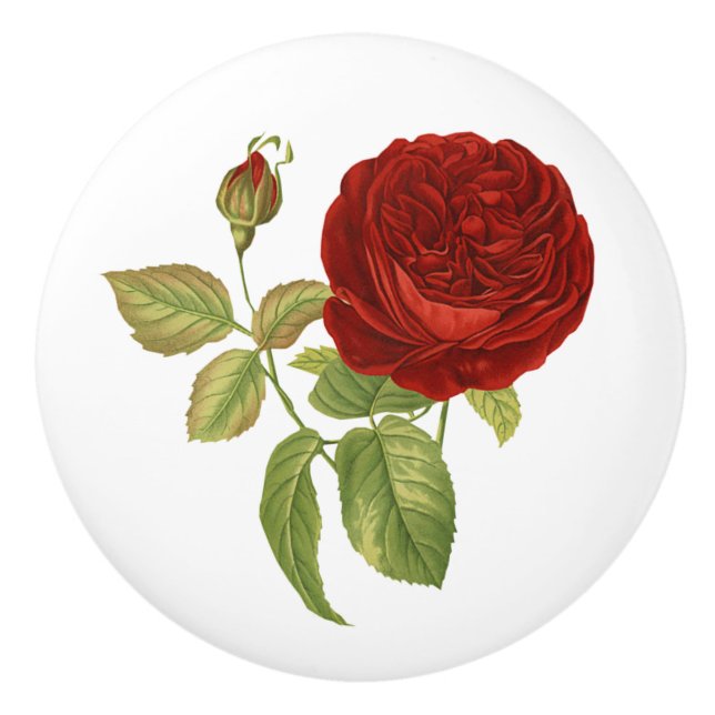 Vintage Rote Rose Botanisch Keramikknauf (Vorderseite)