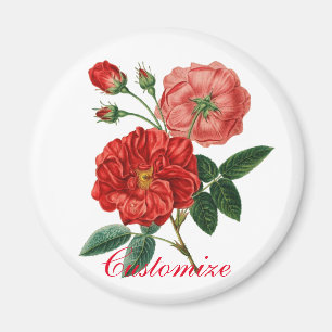 Vintage Rote Rose Illustration Thunder_Cove Magnet