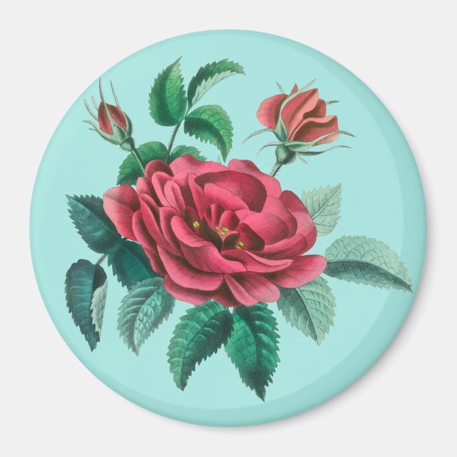 Vintage Rote Rose Magnet (Vorne)
