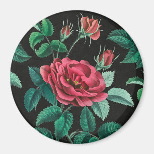 Vintage Rote Rose Magnet