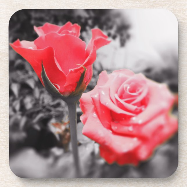 Vintage Rote Rosen Getränkeuntersetzer (Vorderseite)