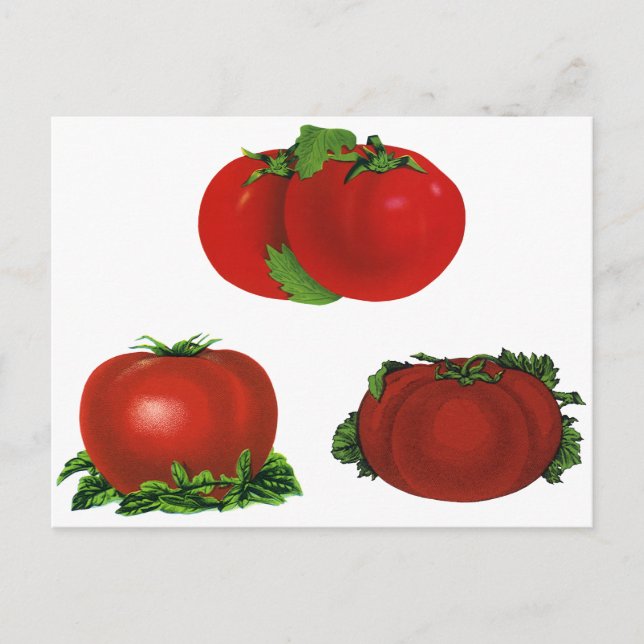 Vintage rote Tomaten Nahrungsmittel, Obst, Gemüse Postkarte (Vorderseite)