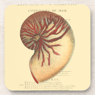 Vintage rote Tritonshorn-Muschel Getränkeuntersetzer